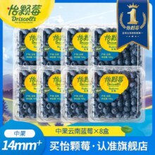 怡颗莓 蓝莓 新鲜水果 125g*8盒 14mm+