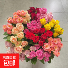 38节：方德 玫瑰花鲜切水养 10支 35-40cm随机
