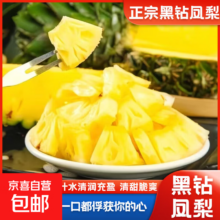 云南黑钻凤梨 无眼金钻菠萝 大果手撕 当季新鲜 带箱5斤 中果1.2-1.6斤（3-4个）