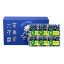 百亿补贴、需首购：田良季 云南蓝莓 4盒装 单果18mm+ 单盒净重100-125g