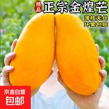 今日必买、广西街头的价格还挑啥：金煌芒 5斤装 净重4.5斤 甄选特级果 单果250g+
