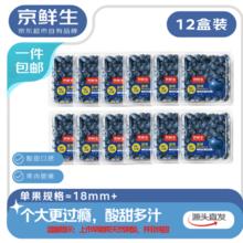 限移动端、京东百亿补贴：京鲜生 云南蓝莓当季 12 盒大果 18mm + 装 净重 125g / 盒