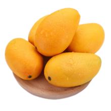 玖原农珍 青皮金煌芒果 当季现摘 5斤净果4.5斤（200-400g）