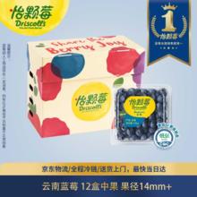 限移动端、京东百亿补贴：怡颗莓 云南蓝莓14mm+ 12盒装 约125g/盒