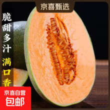 海南晓蜜 蜜瓜甜瓜 西州蜜 哈密瓜 新鲜采摘 带箱5-5.5kg