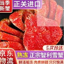 熟冻智利雪蟹1只（400-600g/只） 600g
