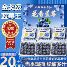 鲁道鲜 云南蓝莓 12mm+ 单盒100g 4盒装 果农精选