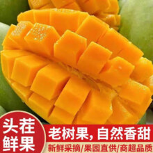 38节:集南鲜 海南金煌芒 青皮大芒果 当季水果 5斤装 单果250g起