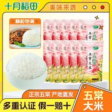 十月稻田 寒露秋香 五常大米