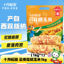 十月稻田 云南花糯玉米 甜糯玉米 轻食 1.2kg*1袋