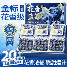 沐小七 蓝莓王 5A级 12-15mm 125g*4盒 净400g 高端新鲜水果礼盒