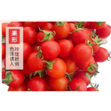 再降价：广西新鲜圣女果 红色小番茄 5斤带箱净重4.5斤