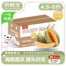 今日必买、京东百亿补贴：京鲜生 海南哈密瓜西州蜜 净重4.5-5斤 2粒装 单果2斤起