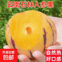 京顶鲜 云南石林人参果 3斤装 单果50-70g 净重2.6斤