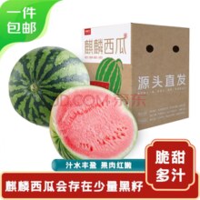 抢先吃瓜！京鲜生 无籽麒麟西瓜 净重7-9斤 1粒装 生鲜水果源头直发包邮（需买3件）