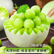 海南冰淇淋玉菇甜瓜 5-6斤带箱 净重4.5-5斤 现摘现发