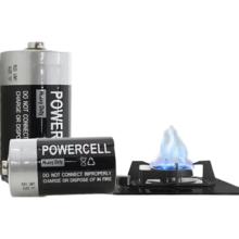 商超同款 1号高品质大号电池 LR20 2粒