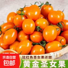 广西柿季 圣女果 樱桃小柿子 黄色玲珑小番茄 5斤带箱