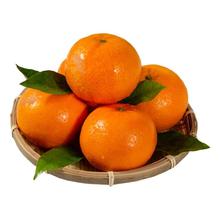 京鲜生 广西沃柑 净重 8斤装 单果80g+