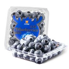 MPPMCK 特大果 云南蓝莓 100g*6盒 单果15-18mm
