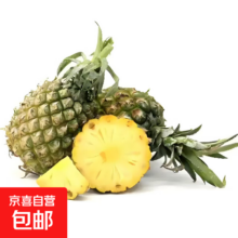 广东徐闻香水菠萝 新鲜热带水果 迷你菠萝400g起 0.8-1.3斤（1-2个）