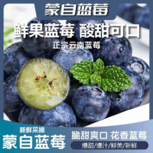 京东快递 云南蒙自蓝莓 新鲜水果 当季整箱 100g×6盒 15mm+