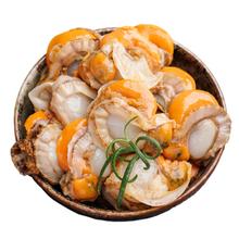 限移动端、京东百亿补贴：美加佳 大号带黄扇贝肉净重1kg（500g*2袋）