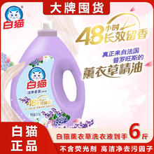 白猫 学生洗衣液 3KG 薰衣草香