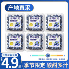 沐小七 花香蓝莓 125g×4盒 净400g 单果12-15mm 高山新鲜水果礼盒