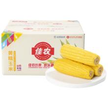 再降价：佳农 东北黄糯玉米棒 8袋*220g 真空锁鲜 源头直发 礼盒包邮