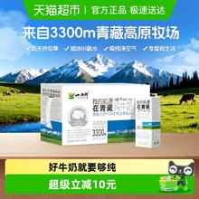 小西牛 纯牛奶 250ml*20盒