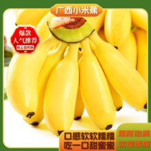 广西小米蕉 新鲜孕妇水果 酸甜芭蕉 带箱2斤
