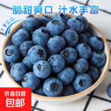 云南蓝莓 中果 90-115g/盒 8盒装 单果15mm+ JD快递次日达