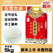 十月稻田 2025年新米五常香米五常大米1kg*5袋