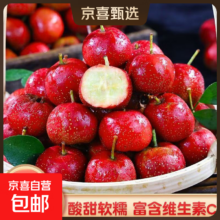 新鲜山楂果 五棱山楂鲜果 带箱约5斤 净果4.6斤