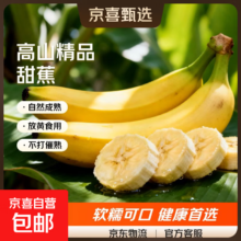 新鲜绿皮单根大香蕉 甜糯营养皮软可食 生鲜水果 带箱2斤 现摘