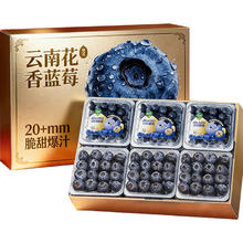果跃霖 活动只有今天 云南蓝莓水果 6盒 100-125g/盒