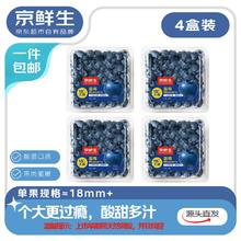 今日必买：京鲜生 国产蓝莓 4盒装 果径18mm+ 新鲜水果 源头直发包邮