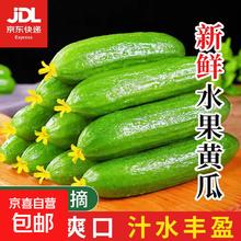 水果黄瓜 无刺即食生鲜蔬菜 1斤