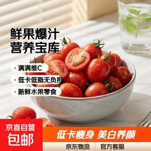 千禧圣女果 5斤