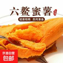 福建漳州瑞坤 六鳌蜜薯 新鲜软糯甘甜 红薯 中小果 单果1两-3两 带箱1斤装
