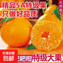 四川春见耙耙柑 新鲜水果 自产自销 3斤礼盒 家用