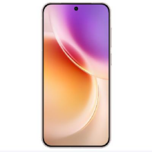 限地区：vivo X300 蔡司2亿主摄 APO长焦 16GB+512GB 幸运彩