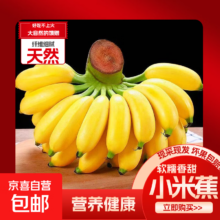 京喜加 小米蕉 产地直供 粉糯芭蕉 皇帝蕉 带箱9斤 坏果包赔