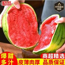 美都麒麟西瓜 净5-6斤
