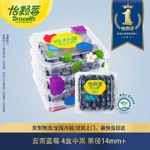 怡颗莓 蓝莓 125g*4盒