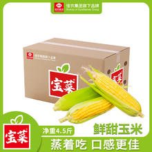 再降价:佳农宝菜 水果玉米 4-6根 4.5斤装 山东带绿皮新鲜轻食