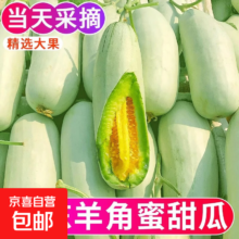 山东羊角蜜甜瓜 新鲜当季现摘 脆甜蜜瓜 香瓜 时令 羊角脆 带箱5斤（净重4.5斤）