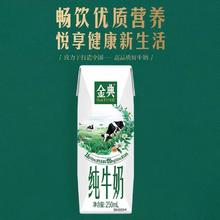 金典 纯牛奶250ml*24盒/箱3.6