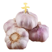 金乡 新鲜干蒜  小果3.5-4.5 净重0.8斤